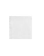 FSC® Servet ecolabel 20x20cm ¼ vouw wit Double Point